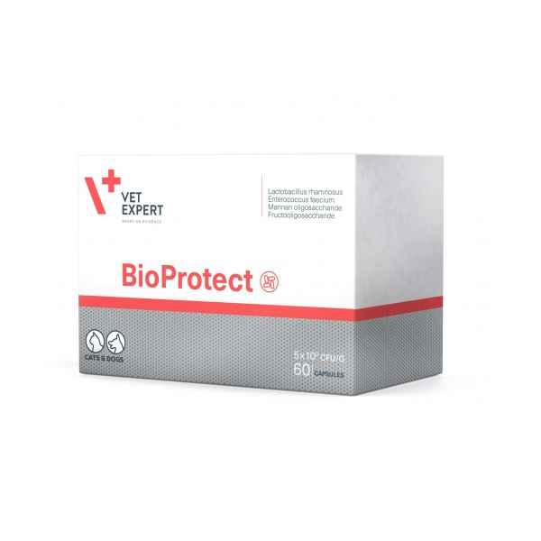 Vet Expert Bio Protect- pentru probleme digestive