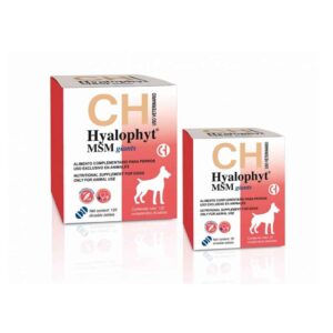 HYALOPHYT MSM- Supliment pentru câini de talie gigant cu probleme articulare